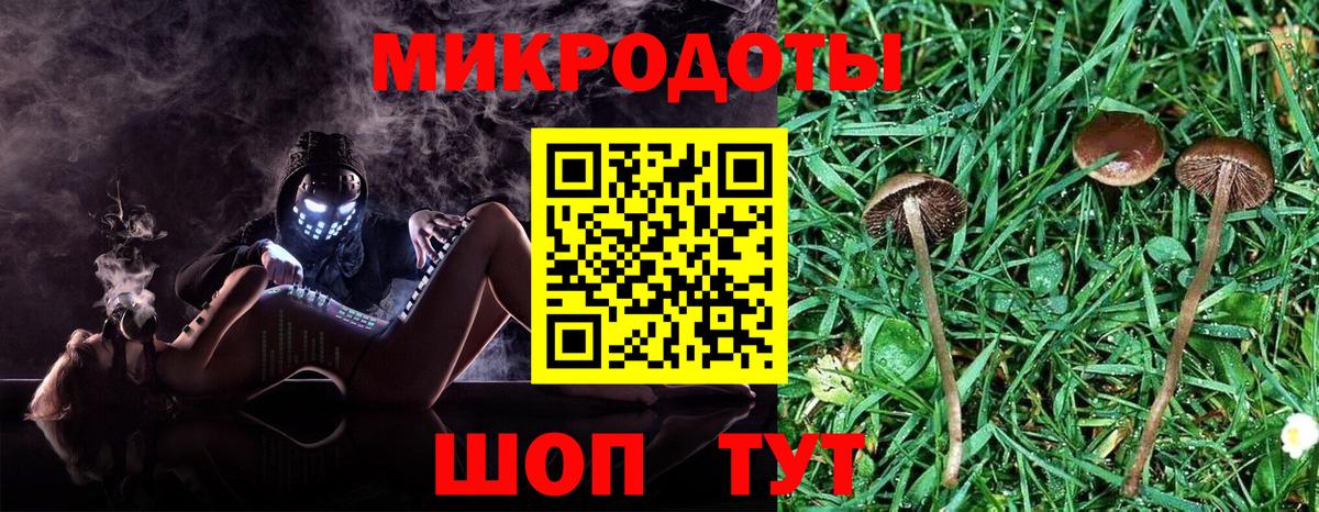 Качканар  Псилоцибиновые грибы Psilocybe  Галлюциногенные грибы MAGIC MUSHROOMS  Вход с VPN 